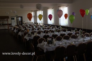 sala w besku (1)